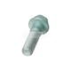 ZESKANTBORGBOUT M14x1,5x50x13 - 10,9